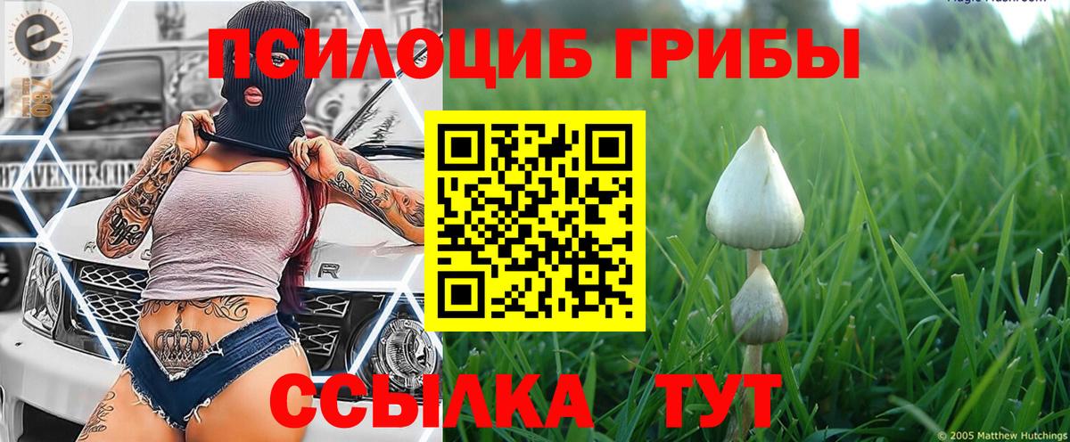 Псилоцибиновые грибы мухоморы  Вход с VPN  Галлюциногенные грибы Psilocybe  Шали 