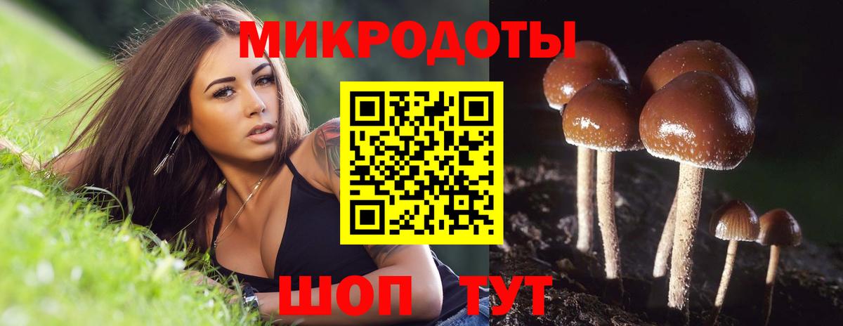 Псилоцибиновые грибы мицелий Шали